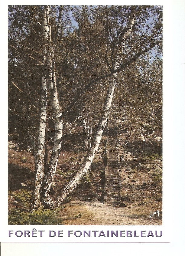 Postal 033887 : Forêt de Fontainebleau (Seine et Marne). Les Cent Marches
