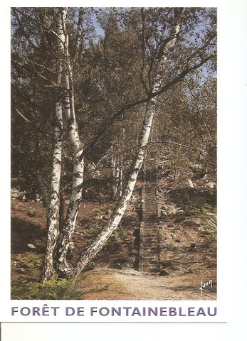 Postal 033887 : Forêt de Fontainebleau (Seine et Marne). Les Cent Marches