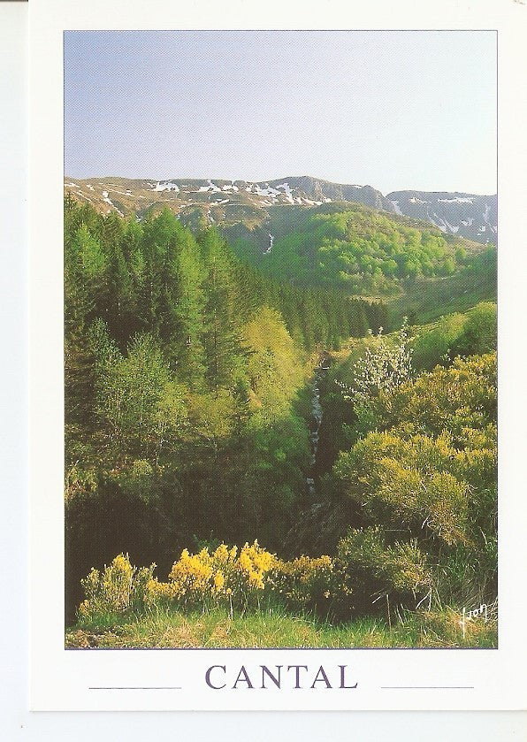 Postal 033895 : Cantal. The valley of the impradine and the Santoire river in the background the gap of Roland