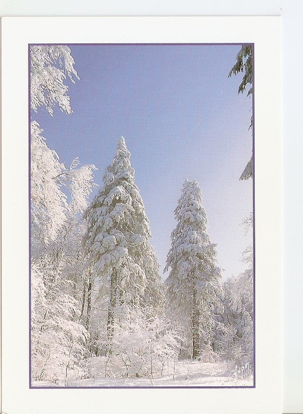 Postal 033901 : Paysage de neige