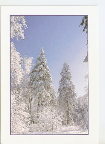 Postal 033901 : Paysage de neige