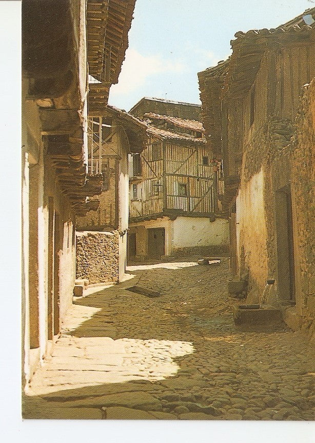 Postal 033941 : La Alberca. Calle del Chorrito