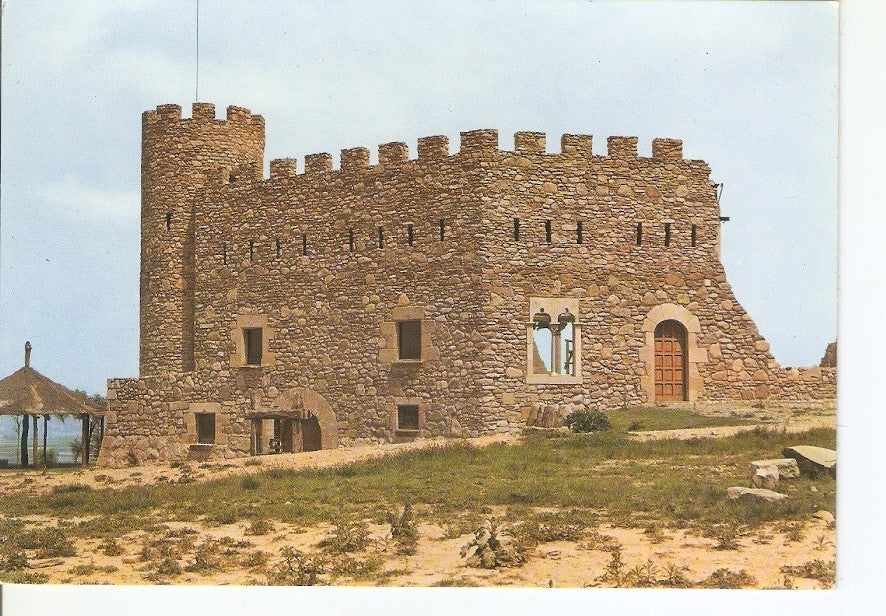Postal 033949 : Vich. Castell den Planes