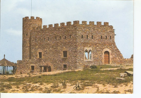 Postal 033949 : Vich. Castell den Planes