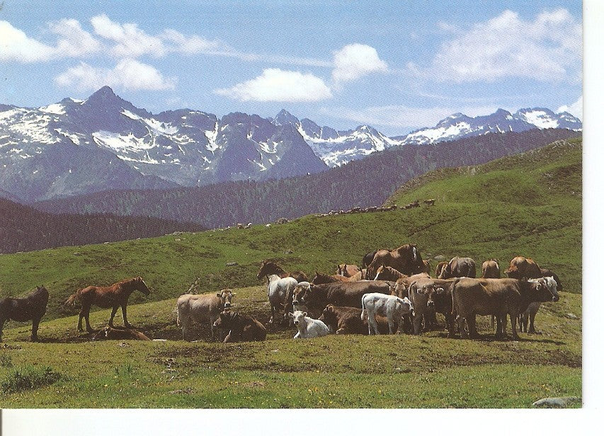 Postal 033964 : Pla Beret (Orri). Val dAran (Lleida)