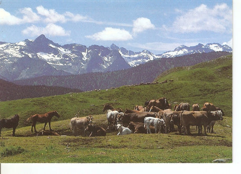 Postal 033964 : Pla Beret (Orri). Val dAran (Lleida)
