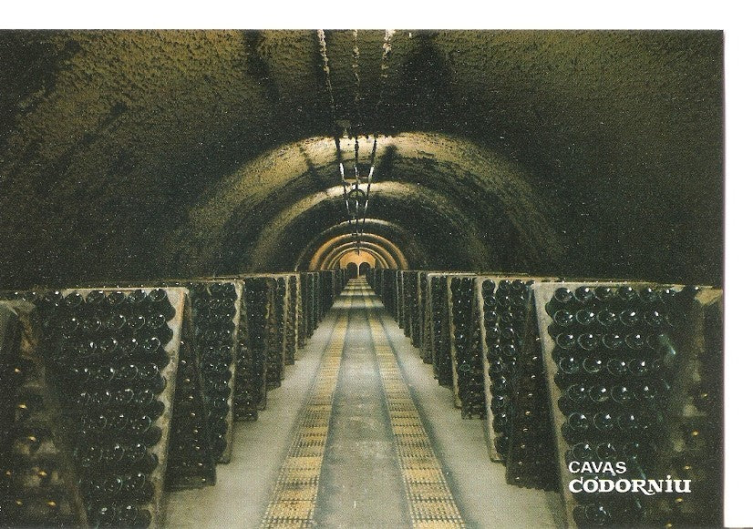 Postal 033968 : Cavas Codorniu. Botellas en pupitre
