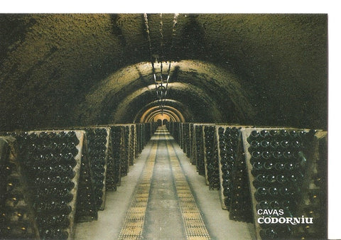 Postal 033968 : Cavas Codorniu. Botellas en pupitre