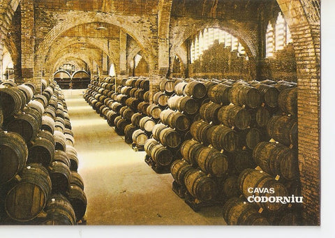 Postal 033969 : Cavas Codorniu. Una bodega. Monumento Nacional