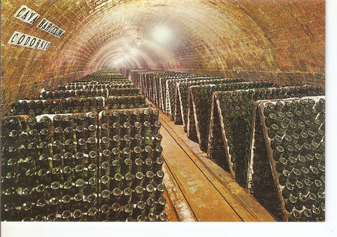 Postal 033970 : Cavas Codorniu. Botellas en pupitre