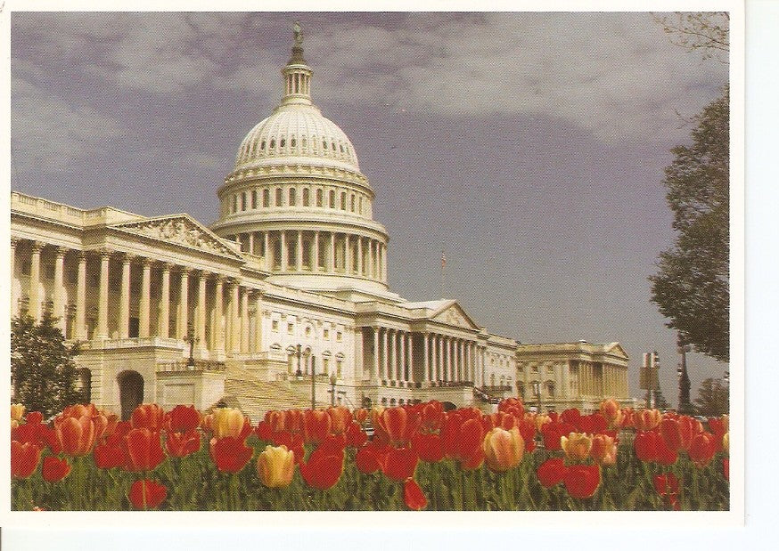 Postal 033976 : The United States Capitol