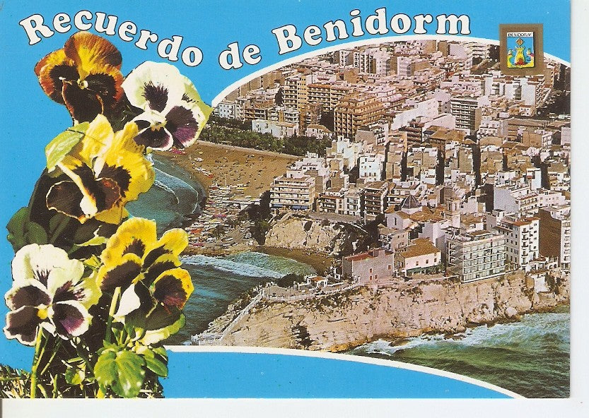 Postal 034130 : Benidorm (Alicante). Vista general de Benidorm