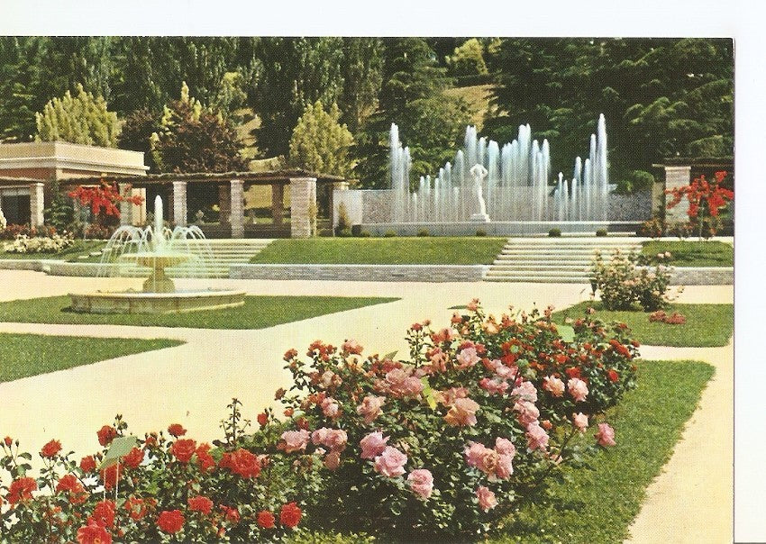 Postal 034173 : Madrid. Parque del Oeste. Rosaleda