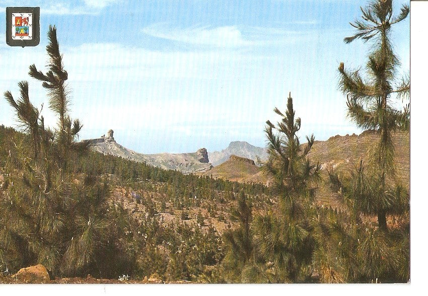 Postal 034228 : Tejeda (Gran Canaria). Roque Nublo