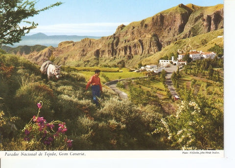Postal 034235 : Parador Nacional de Tejeda Gran Canaria