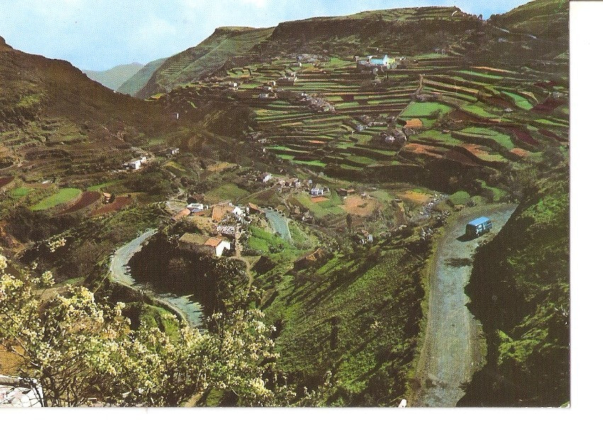 Postal 034237 : Las Palmas de Gran Canaria. Cultivo de las Lagunetas