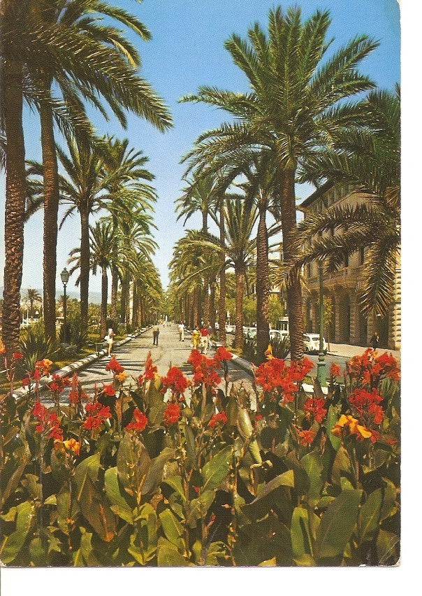 Postal 034263 : Mallorca (Baleares) España. Palma - Paseo de Sagrera