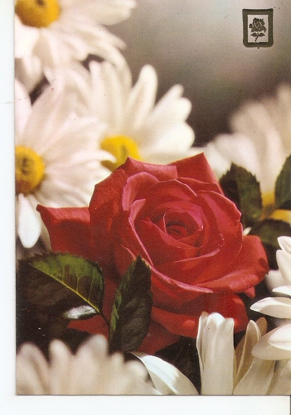 Postal 034285 : Flores  