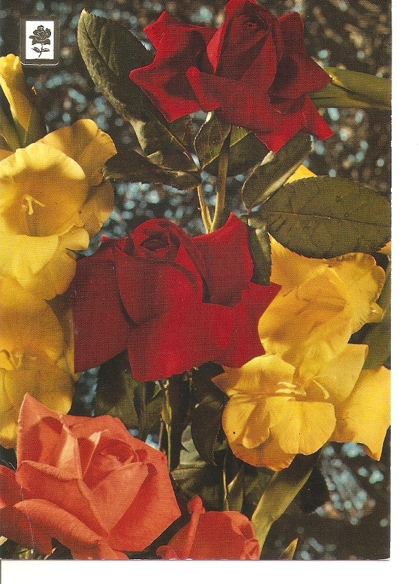 Postal 034287 : Coleccion de flores