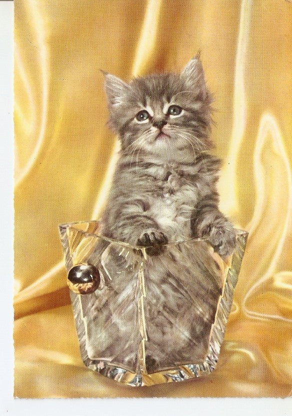 Postal 034290 : Gato