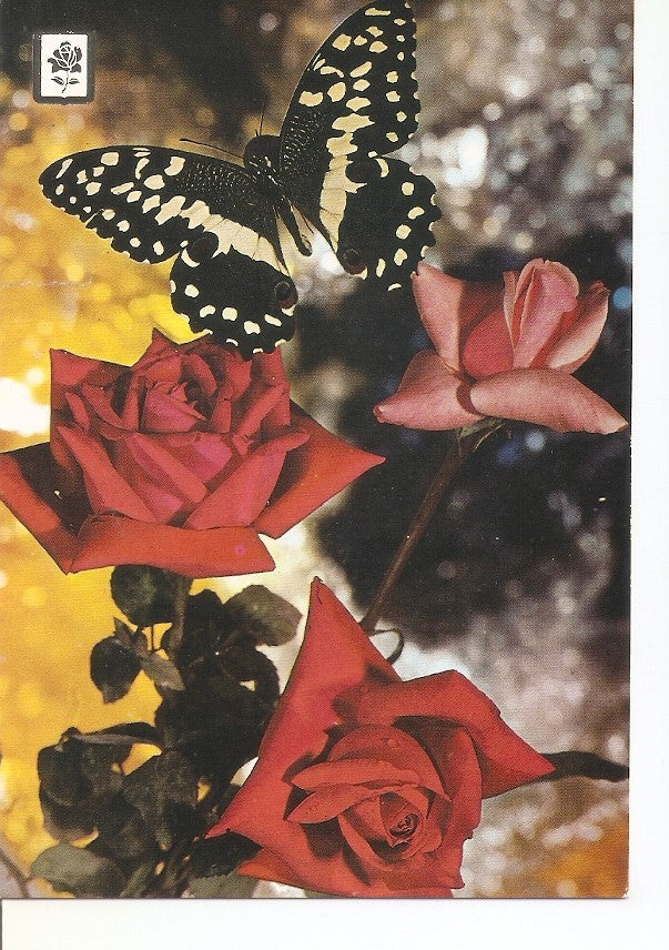 Postal 034327 : Coleccion de flores