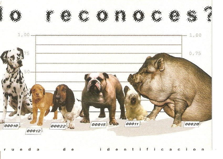 Postal 034347 : Animales en busqueda