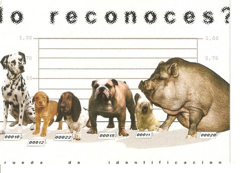 Postal 034347 : Animales en busqueda
