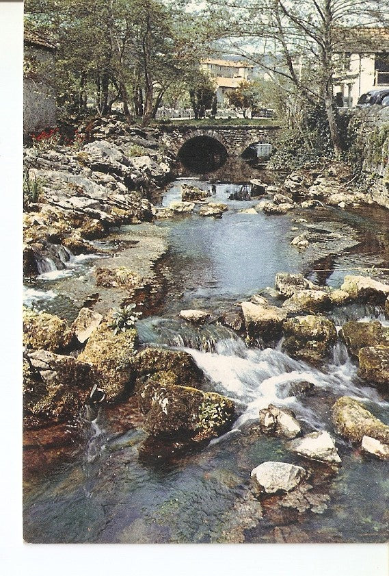 Postal 034436 : Cheddar The River Yeo