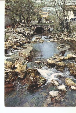 Postal 034436 : Cheddar The River Yeo