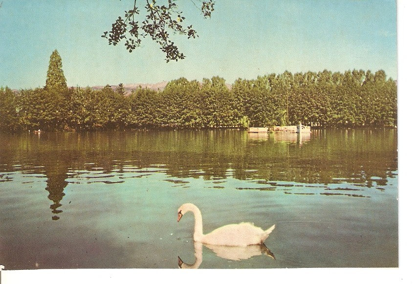 Postal 034566 : Pirineos Orientales (Cerdaña) Puigcerda. El lago