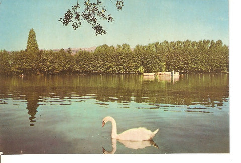 Postal 034566 : Pirineos Orientales (Cerdaña) Puigcerda. El lago