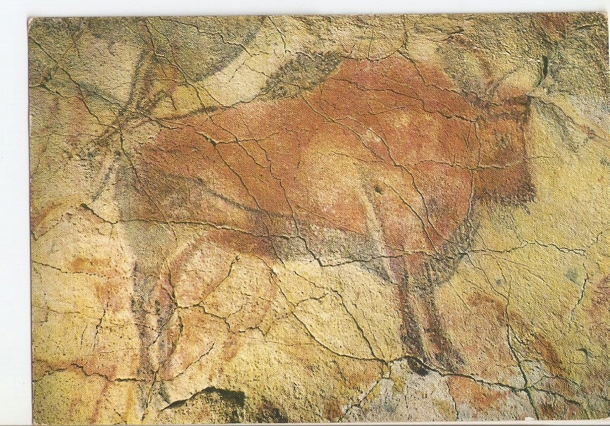 Postal 034606 : Bisonte parado