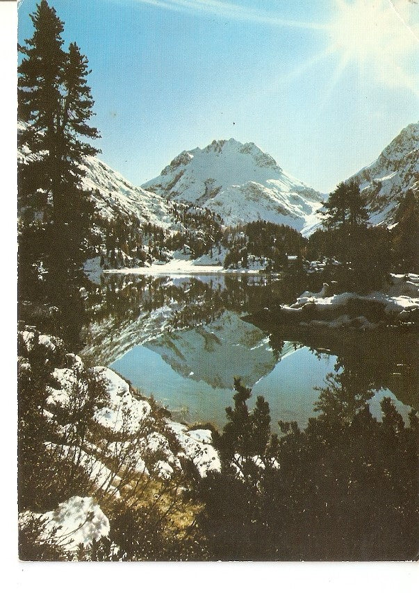 Postal 034628 : Suisse mit Monte del Forno