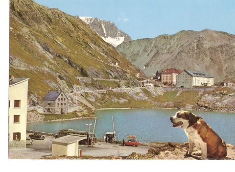 Postal 034667 : Great St. Bernard Pass (Suiza)