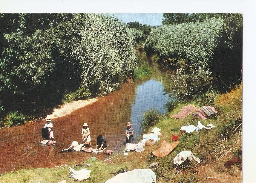 Postal 034819 : Lavadeiras de Portugal