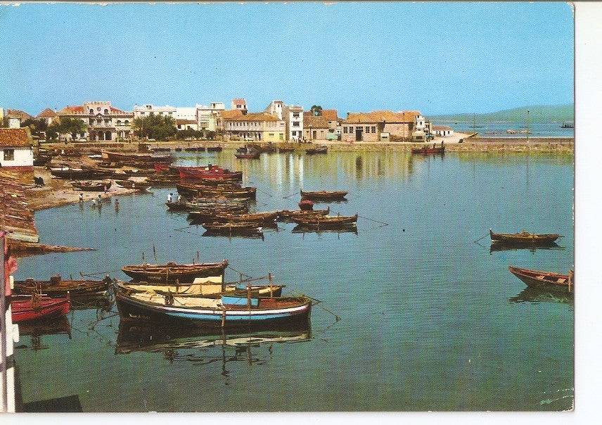Postal 034874 : El Grove (Pontevedra). Puerto pesquero