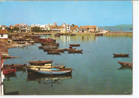 Postal 034874 : El Grove (Pontevedra). Puerto pesquero