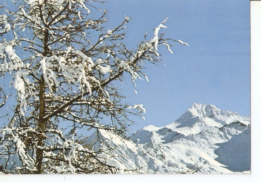 Postal 034922 : Les Glaciers de Bellacote