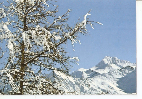 Postal 034922 : Les Glaciers de Bellacote