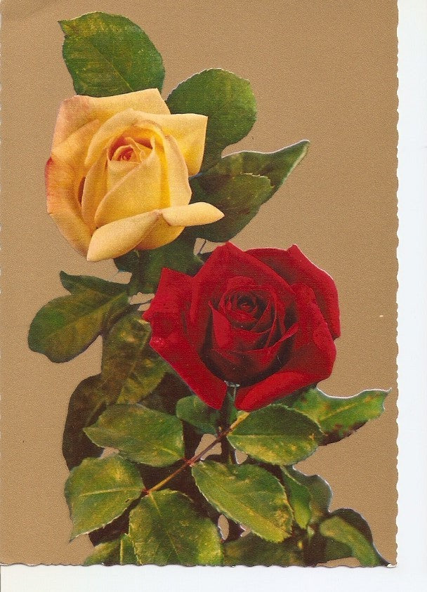 Postal 034942 : Rosas
