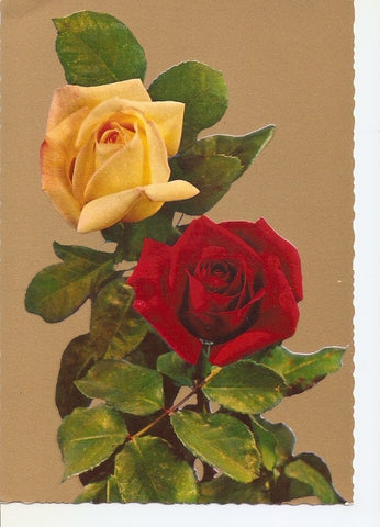 Postal 034942 : Rosas