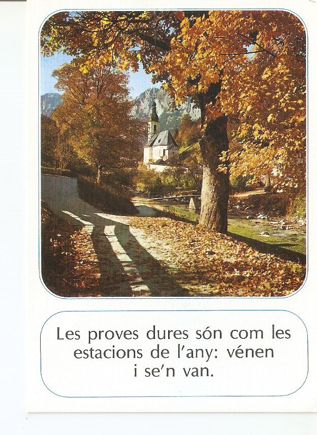 Postal 034950 : Bosque