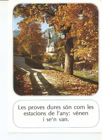 Postal 034950 : Bosque