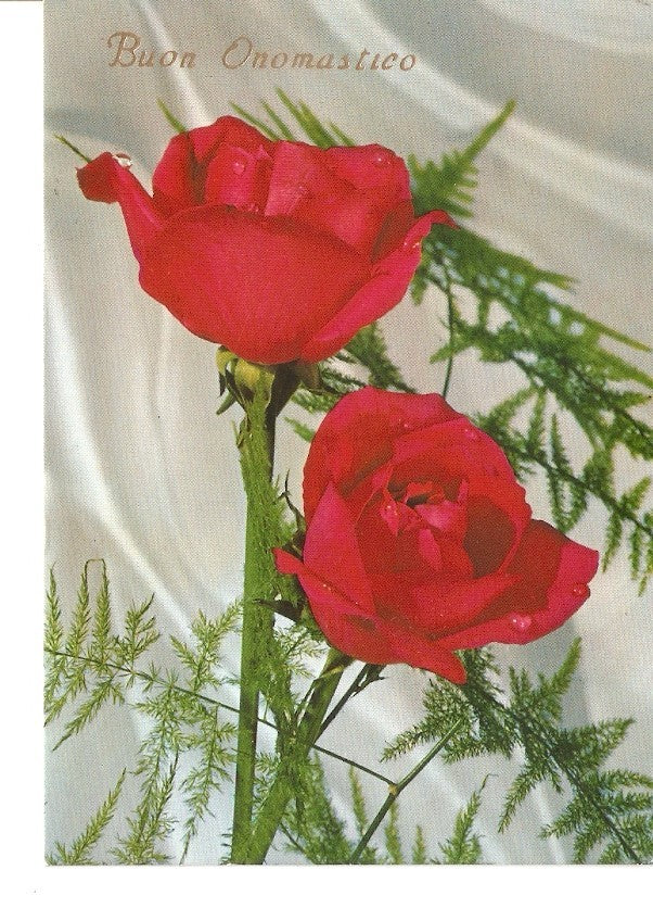 Postal 034968 : Rosas rojas