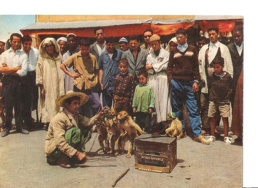 Postal 035023 : Maroc Pittoresque. Dresseur de singes
