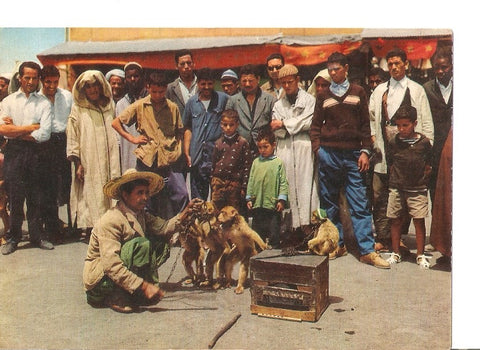 Postal 035023 : Maroc Pittoresque. Dresseur de singes