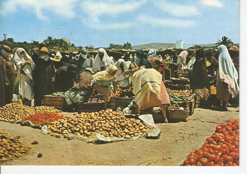 Postal 035025 : Marruecos tipico. Zoco rural