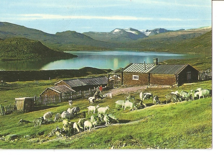 Postal 035069 : Norway: view from the roads across