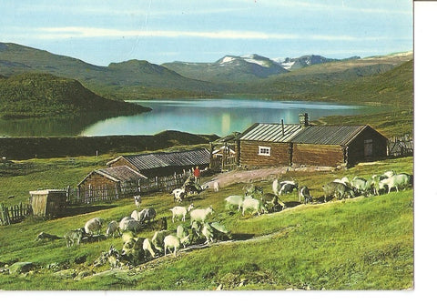 Postal 035069 : Norway: view from the roads across