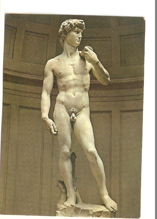 Postal 035076 : Firenze. The Accademia Gallery - The David of Michelangelo
